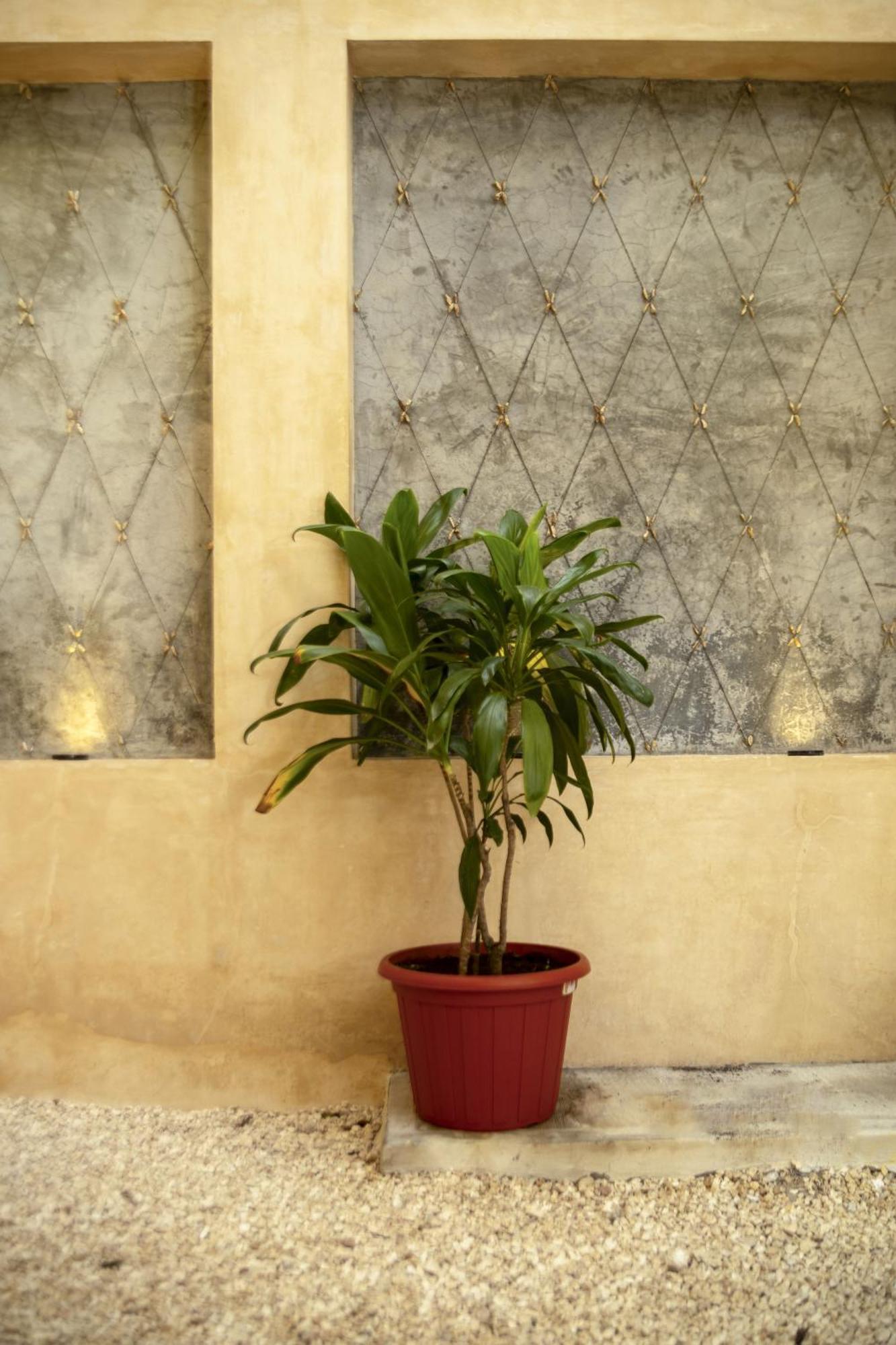 Casa Marco'S Otel Valladolid  Dış mekan fotoğraf
